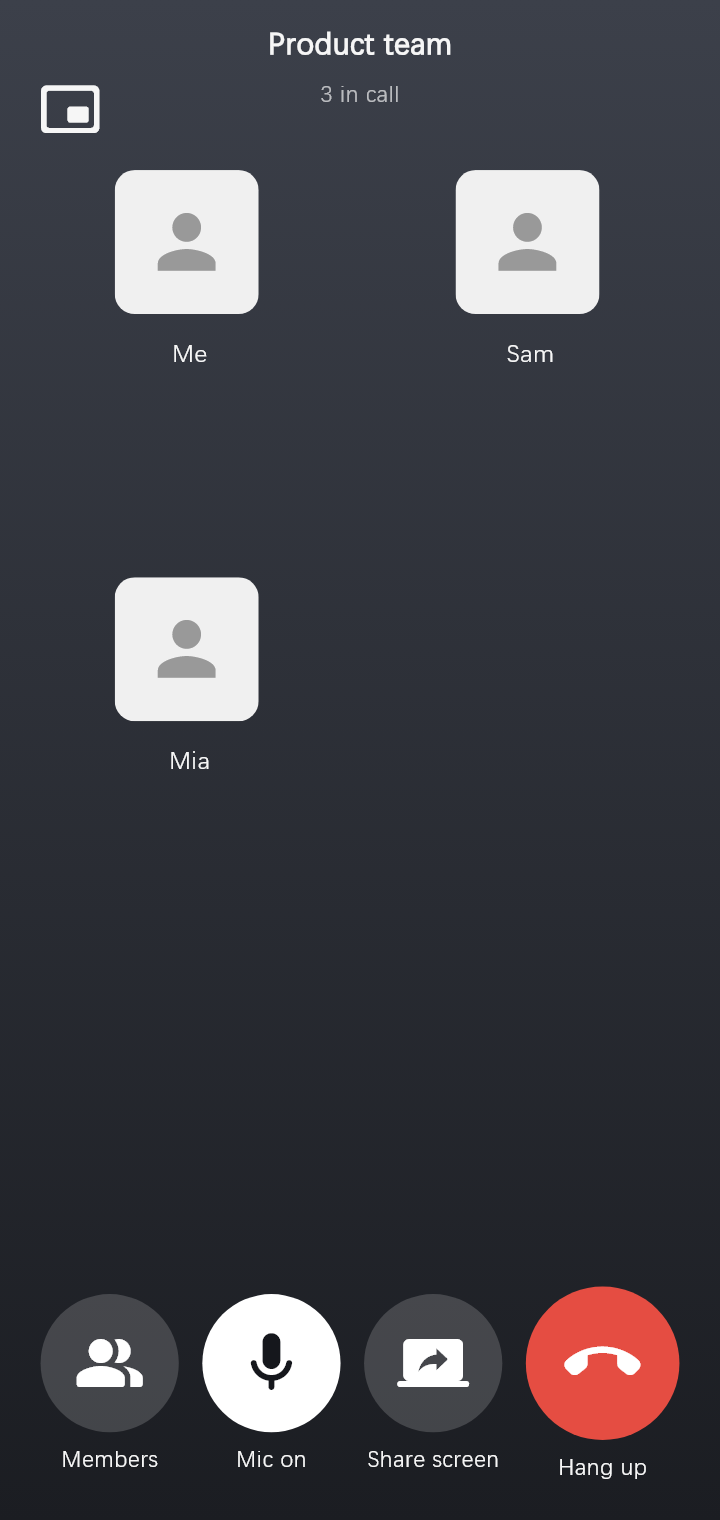 Gracelink group call: members, microphone, screen share and hang up